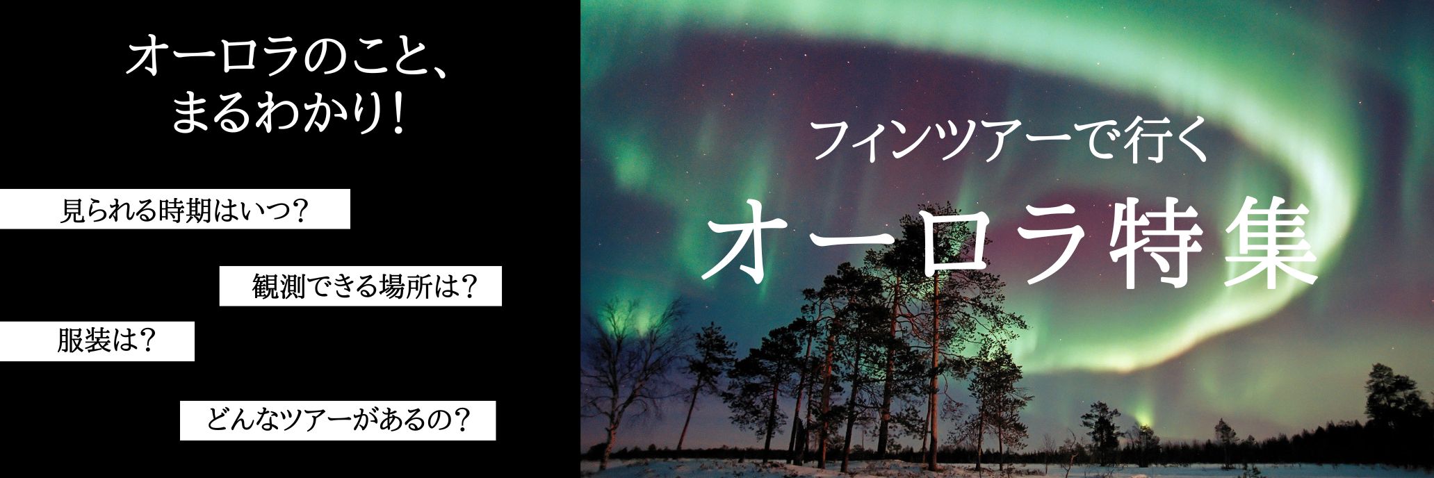 フィンツアーで行くオーロラ特集