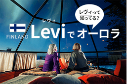 Leviでオーロラ