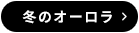 冬のオーロラ