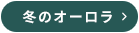 冬のオーロラ