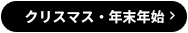 クリスマスのオーロラ