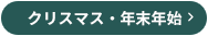 クリスマスのオーロラ