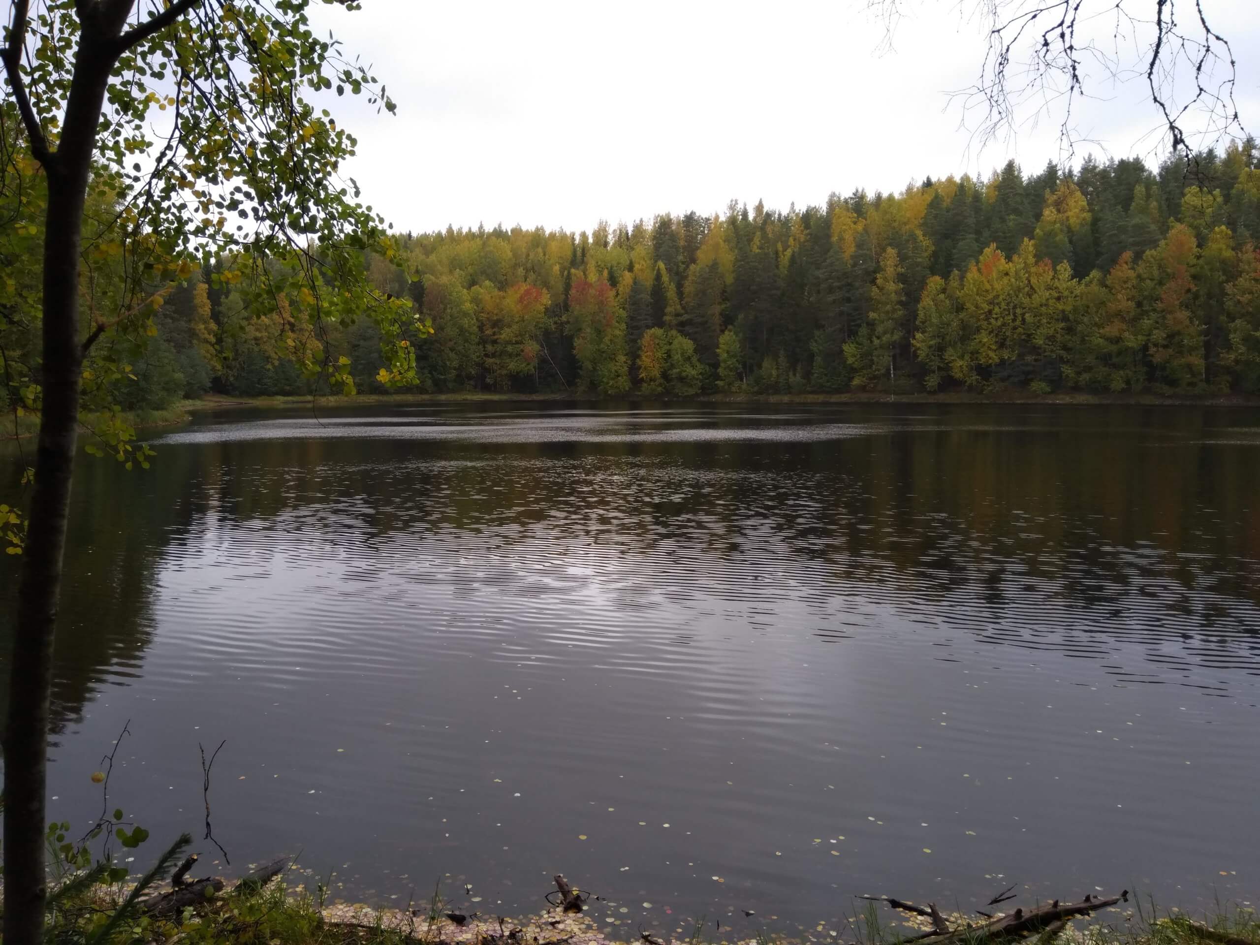 tampere