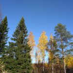 tampere