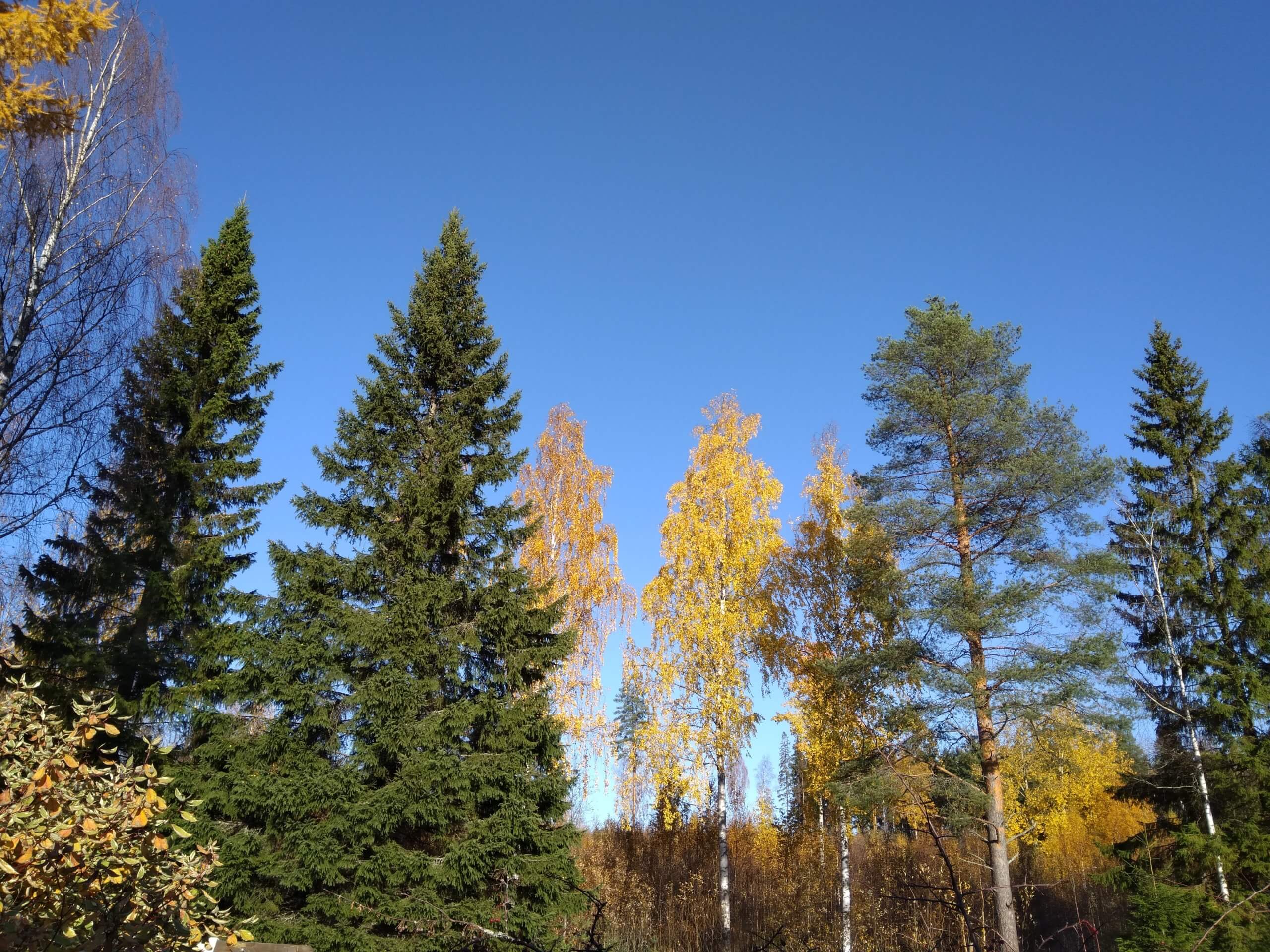 tampere