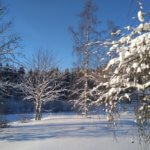 tampere