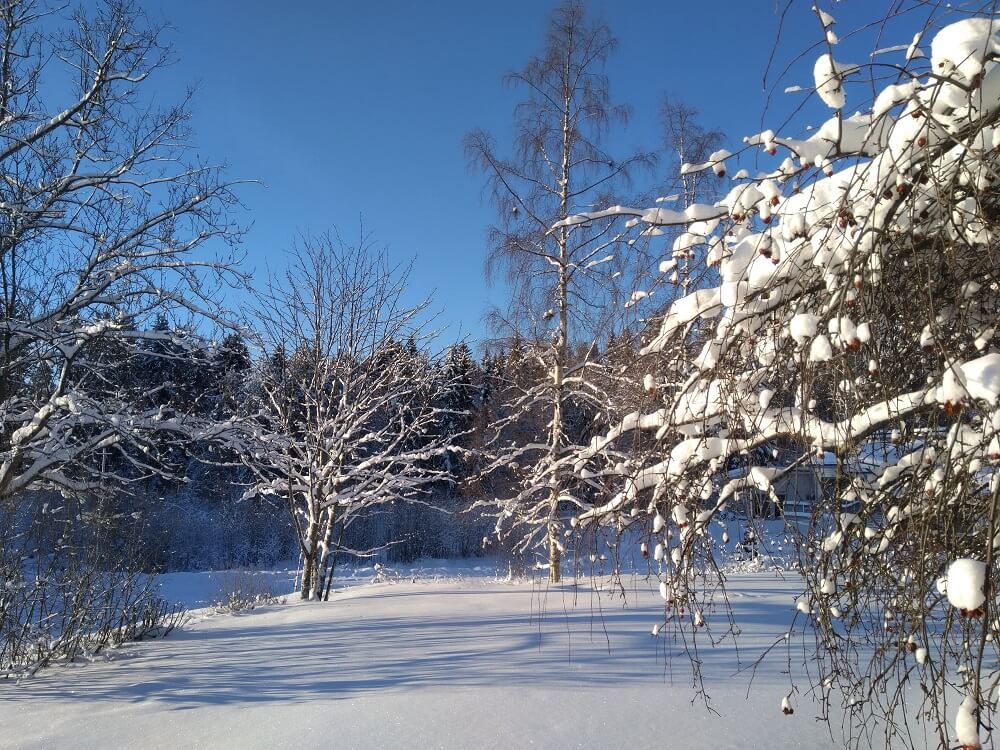 tampere