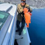 Red fish Qooqqut Nuuk Greenland