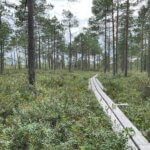 Silta Länsi suomen-opisto