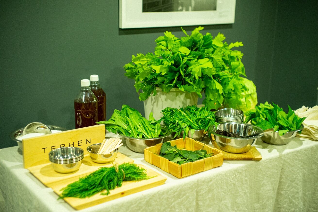 Terhen Sauna Treatment Helsinki