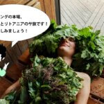 万平さんウィスキング